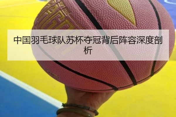 中国羽毛球队苏杯夺冠背后阵容深度剖析